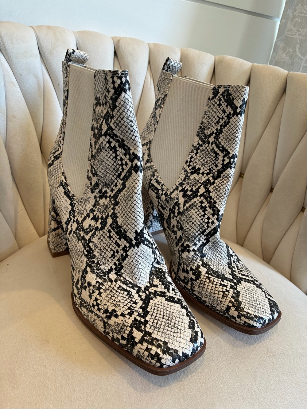 Circus by Sam Edelman Snake-Print Ankle Boots in Black & White